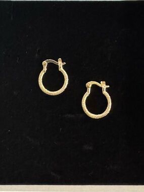 Classic Textured Gold Hoop Earrings - Women Jewelry